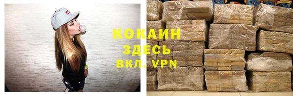мет Инта