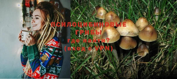 не бодяженный Инсар