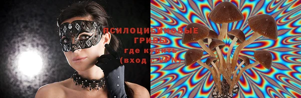 мет Инта